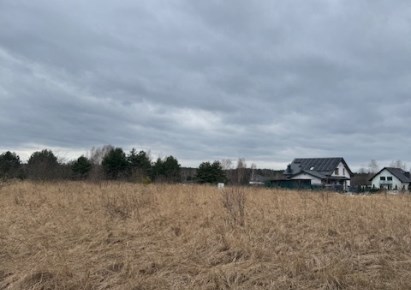 działka na sprzedaż - Konopiska, Aleksandria